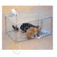 Kattenval