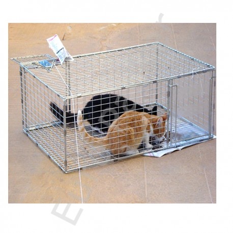 Kattenval
